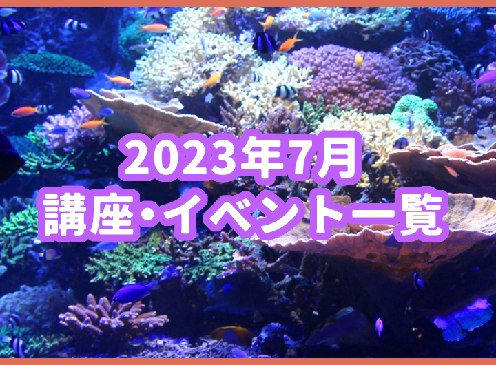 7月の講座・イベント一覧