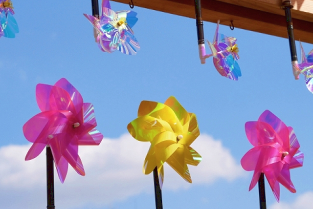 【理科大生と！】空気ってすごい！圧力パワーを体感してみよう！